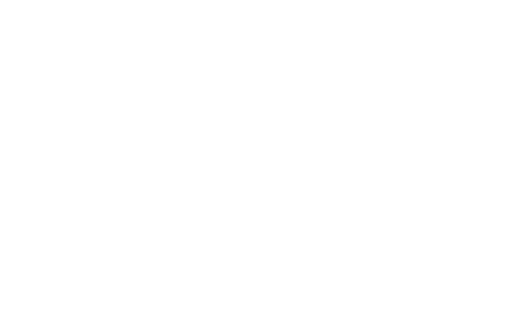 Best Practices Icon