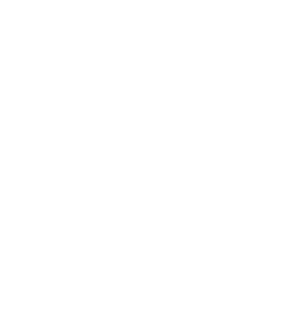 Data Protection Icon