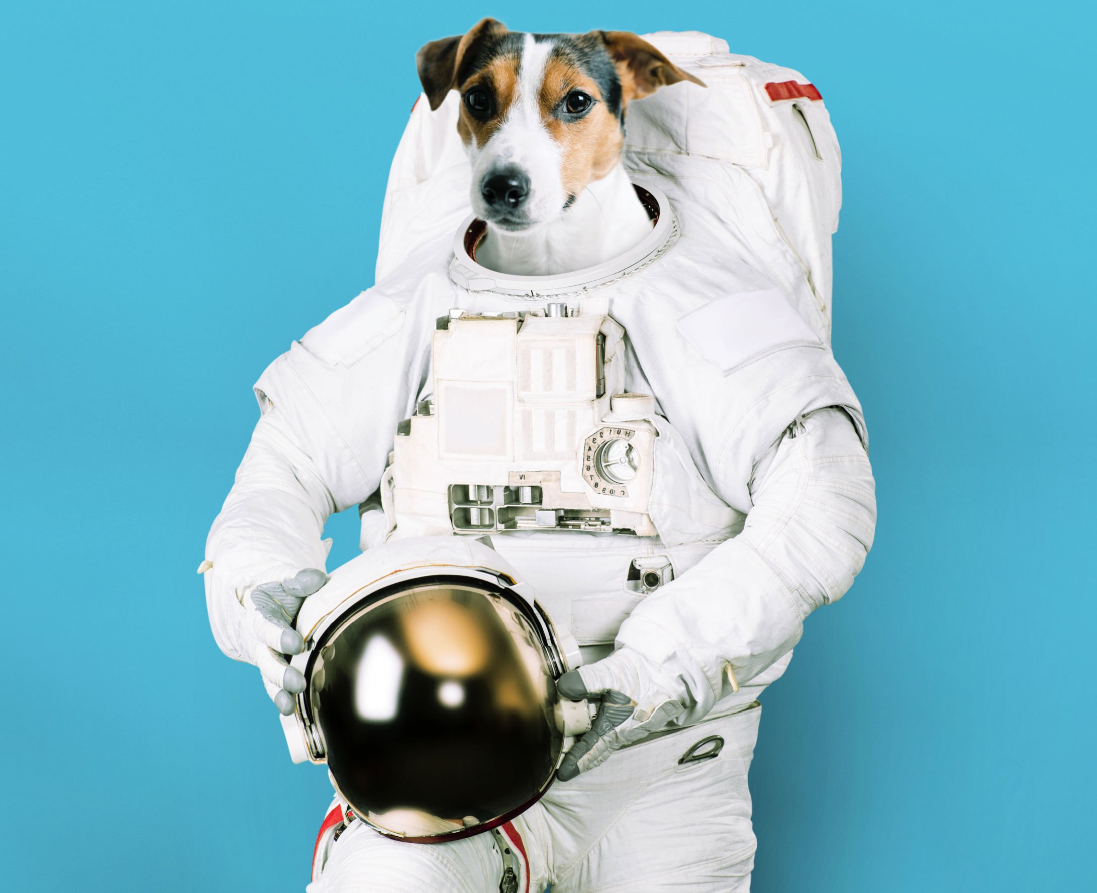 Astronaut-Dog-Vector-X