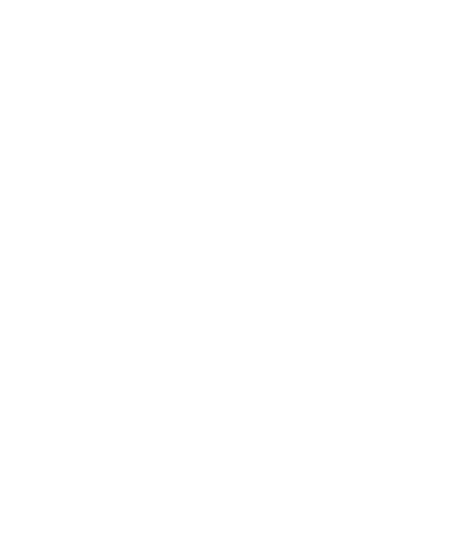 Data Quality Icon